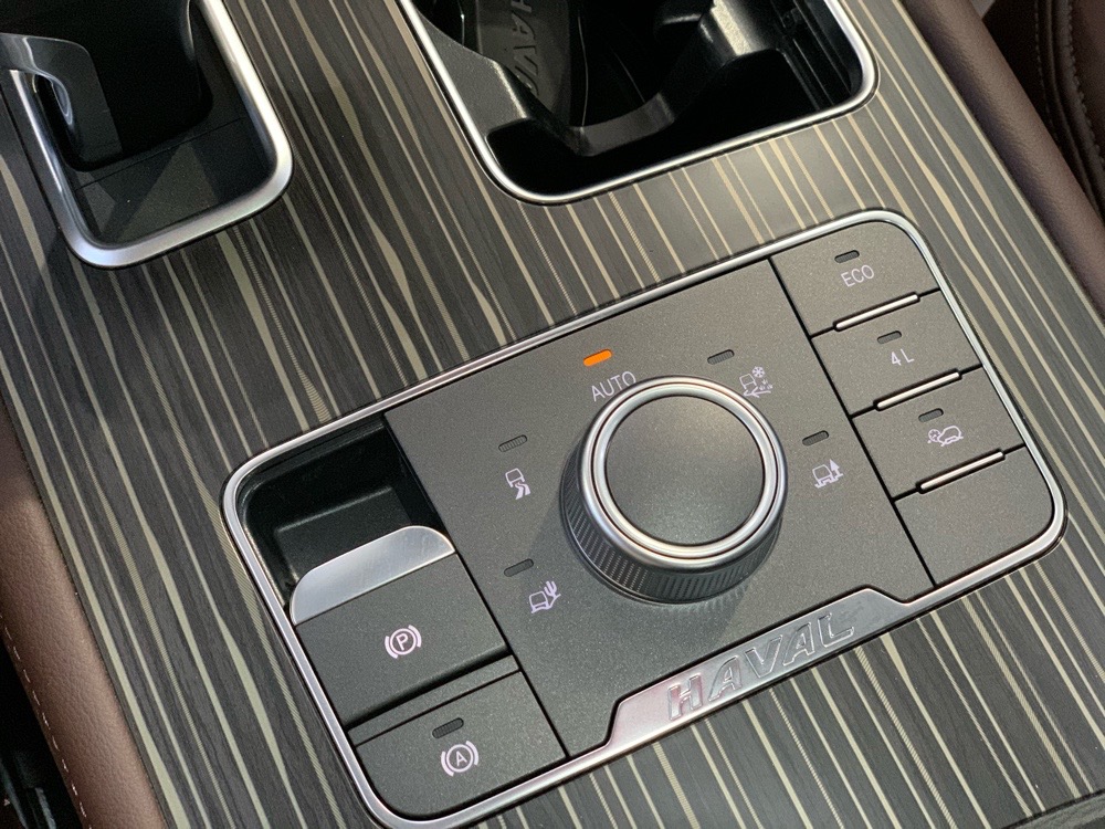 Haval H9